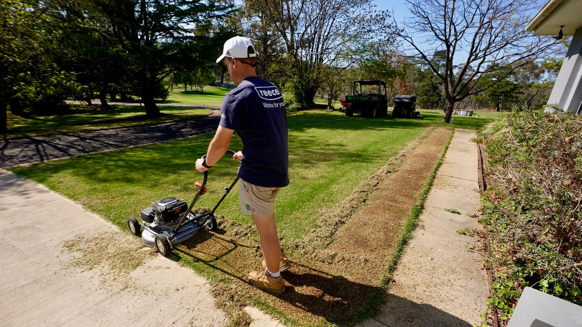 Healthy Lawn Full Website (Copy, 234 selected)
