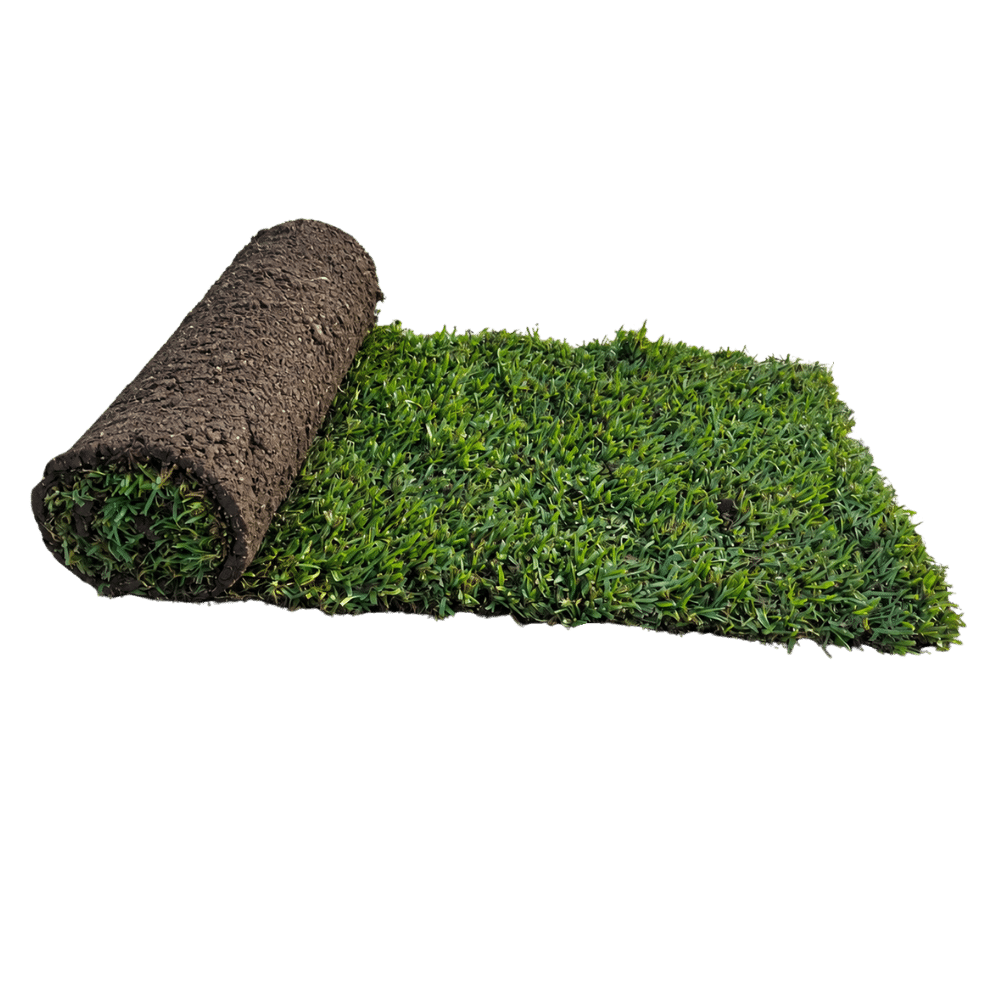 Roll of Stampede hybrid buffalo turf