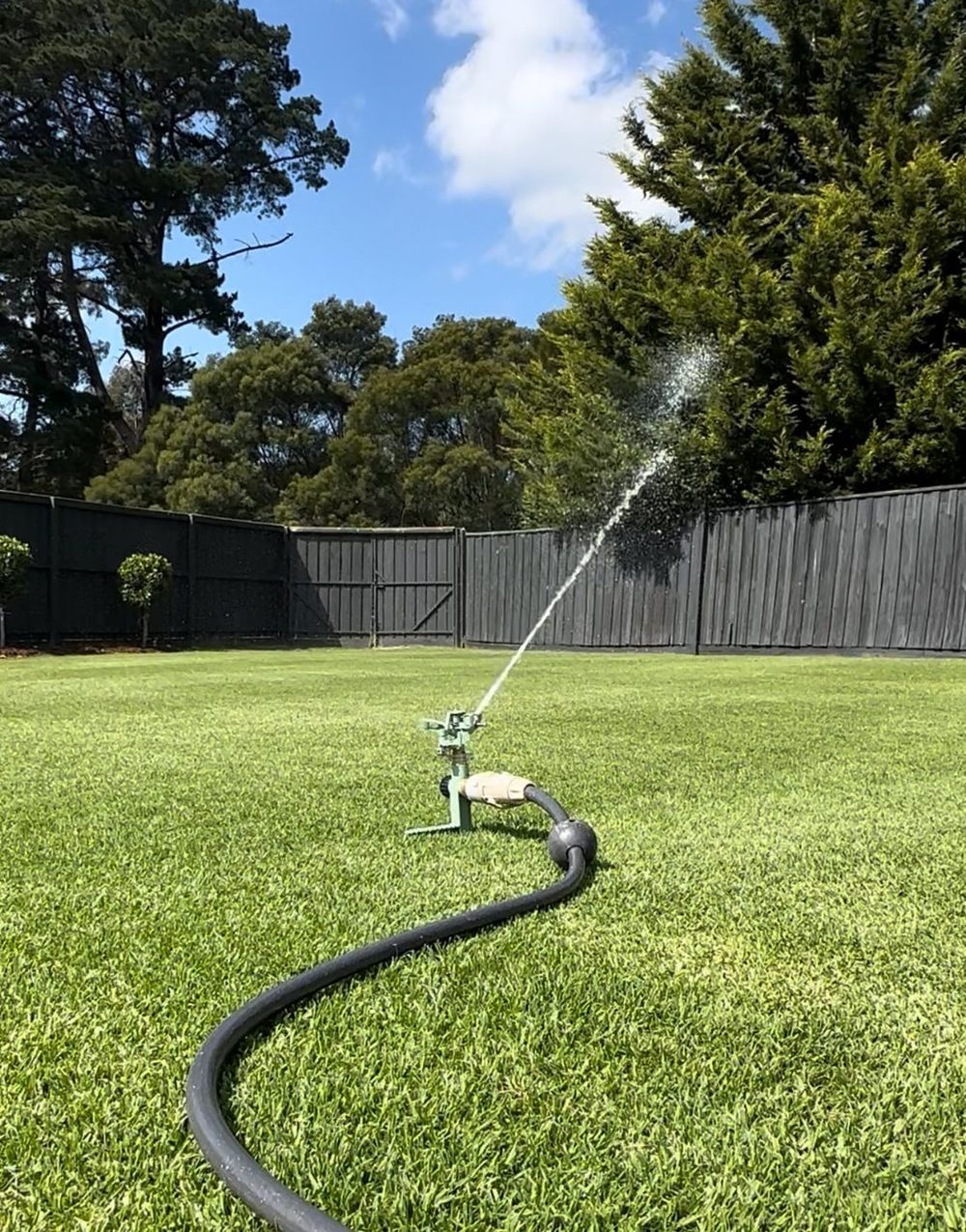Sprinkler watering a freshly mown lawn