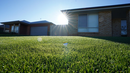 front lawn