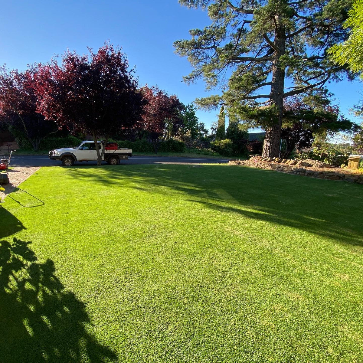 Hand Watering Green