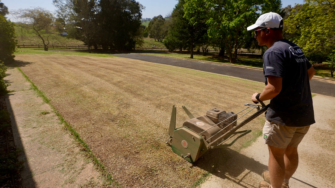 How To Renovate Your Lawn... Step By Step Guide