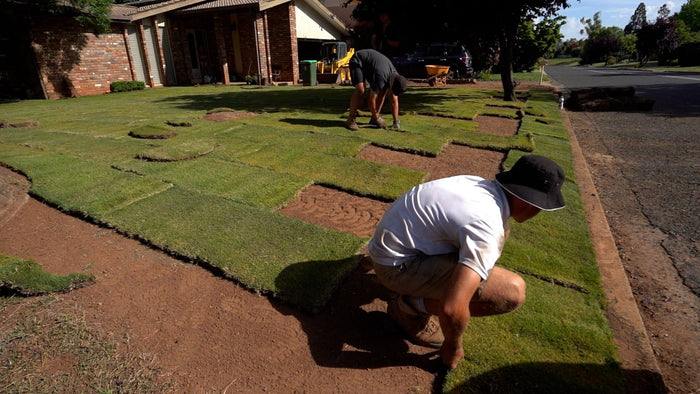 Hand Watering Green