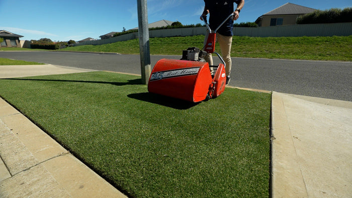 Mowing perennial ryegrass front lawn