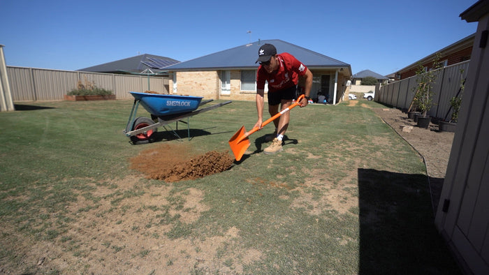 topdressing bare patches in lawn