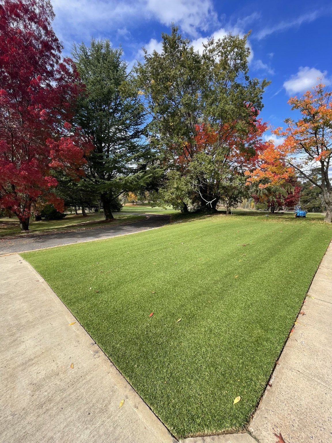 Kikuyu lawn in Autumn