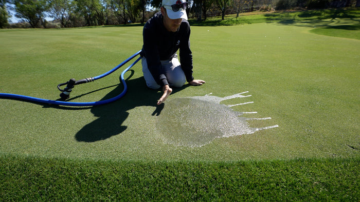 Hydrophobic soil, water running off