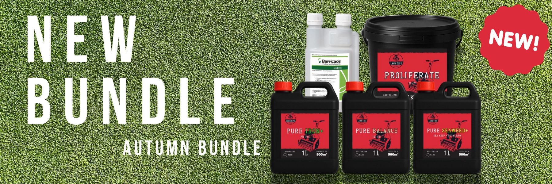 custom-slideshow-image-desktop-block_bzi4KX