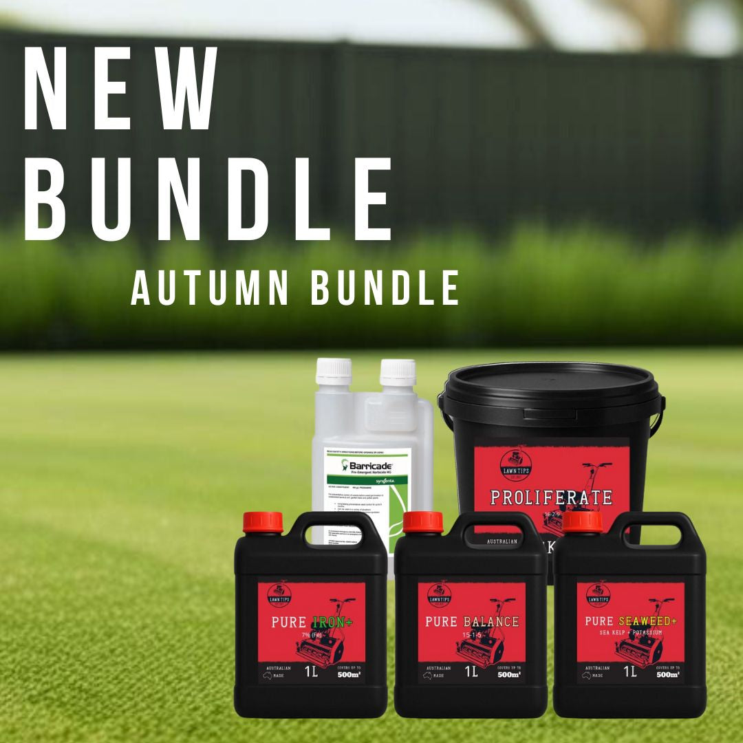 custom-slideshow-image-mobile-block_bzi4KX