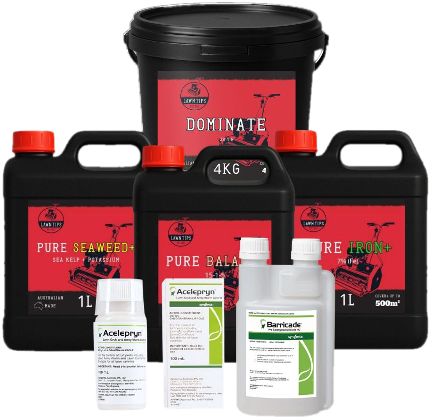 Spring Bundle