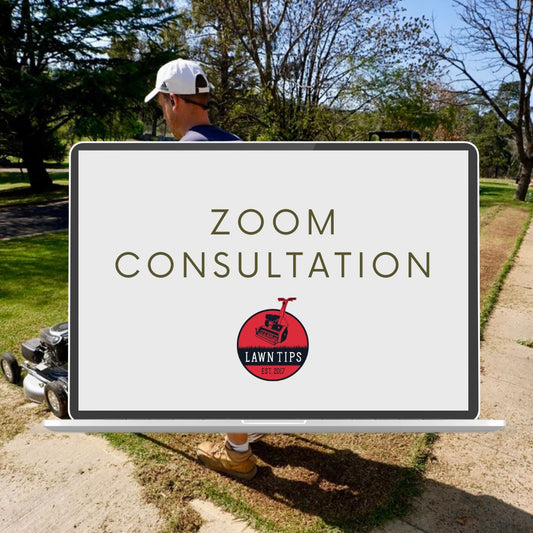 Zoom Consultation