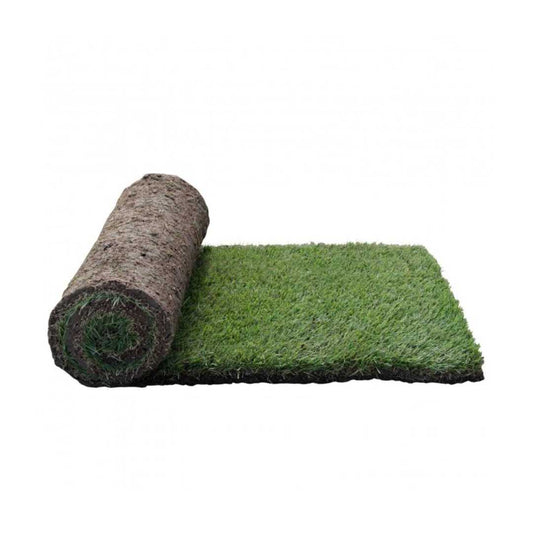 Sir Grange Zoysia