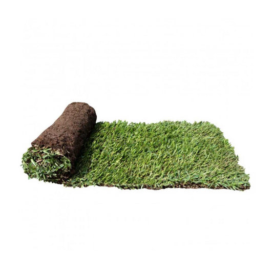 Sir Walter DNA Certified Buffalo Turf